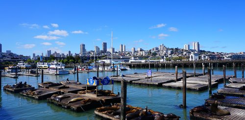 USA Reise - Pier 39, San Francisco