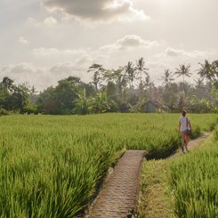 Bali Landschaft