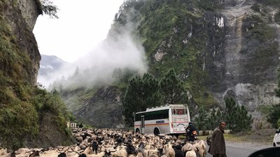 Kanada Busrundreisen