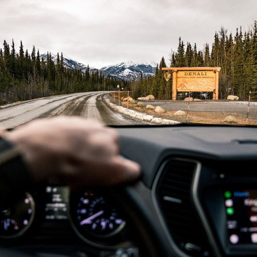 Denali Nationalpark Reise