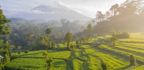 Bali Landschaft