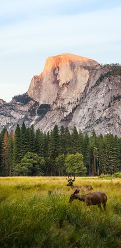 USA Reise - Yosemite Nationalpark