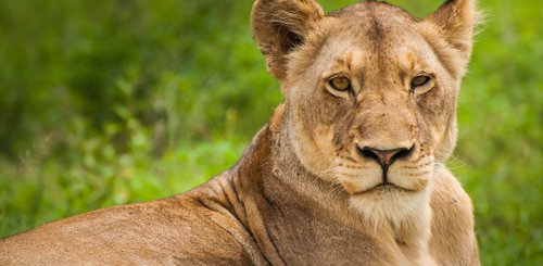 Suedafrika Reise