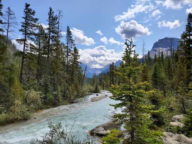 Kanada Reise - Takakkaw Fälle, Yoho NP