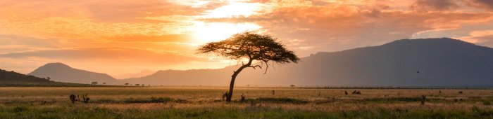 Suedafrika Reise