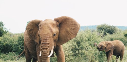 Suedafrika Reise