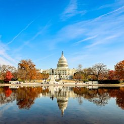 USA Reise - National Mall in Washington DC