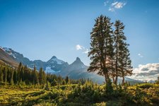 Kanada Reise Jasper NP