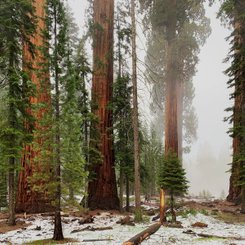Mammoth Lakes Reise