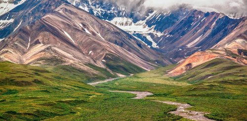 Denali Nationalpark Reise