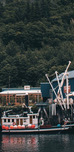 Alaska Reise - Juneau