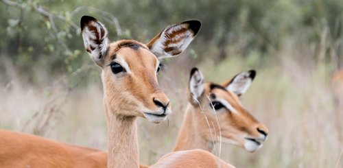 Suedafrika Reise
