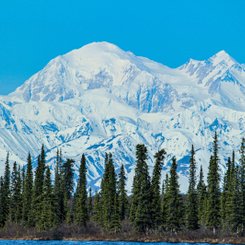 Denali Nationalpark Reise