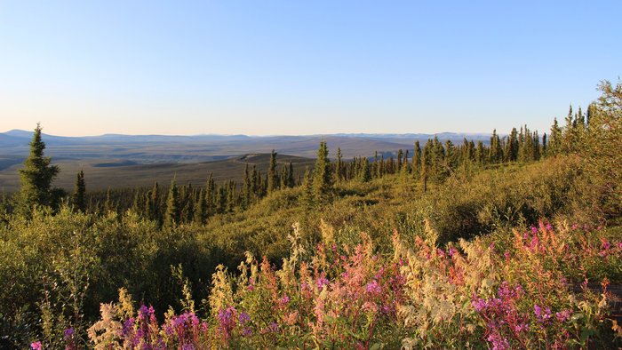 Alaska Reise - Eagle Plains, Dempster Highway