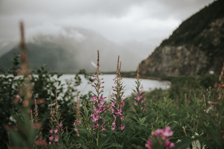 Anchorage Reise