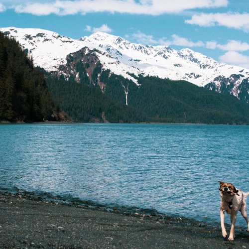 Seward Reise