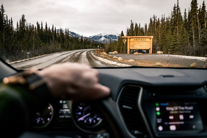 Denali Nationalpark Reise