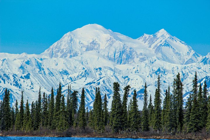 Denali Nationalpark Reise
