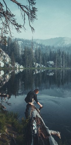 Kings Canyon Nationalpark Reise