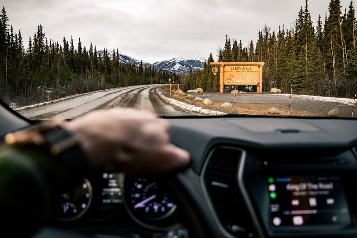 Denali Nationalpark Reise