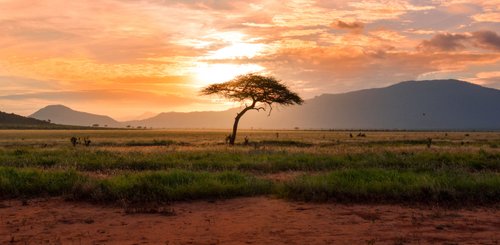 Suedafrika Reise