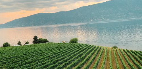 Kanada Reisen Kelowna