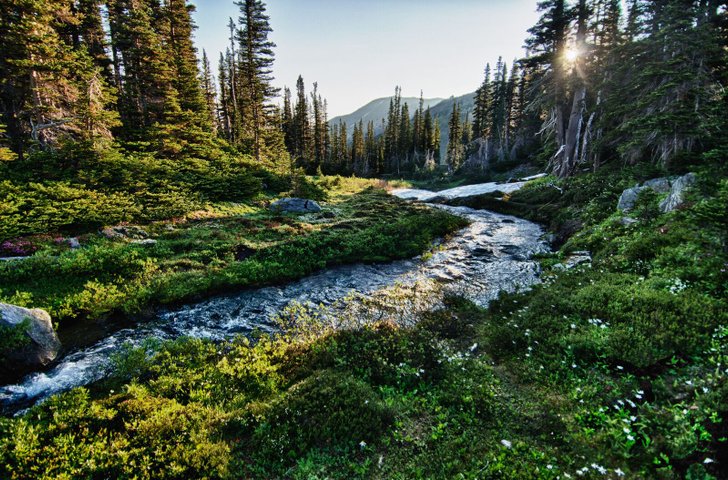 Olympic Nationalpark Reise