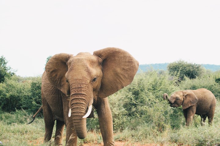 Suedafrika Reise