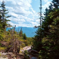 USA Reise - White Mount Washington