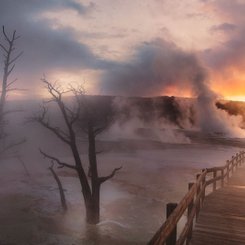 USA Reise - Yellowstone National Park