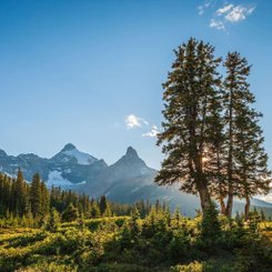 Kanada Reise Jasper NP
