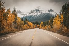 Kanada Reise Calgary