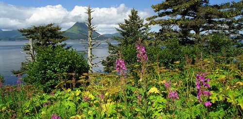 Alaska Reise - Monashka Bay, Abercrombie State Park auf Kodiak Island