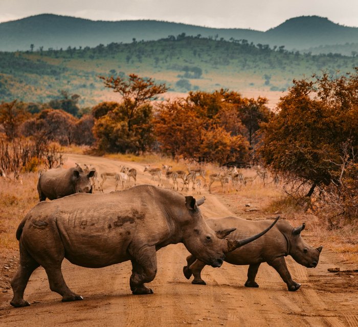 Suedafrika Reise