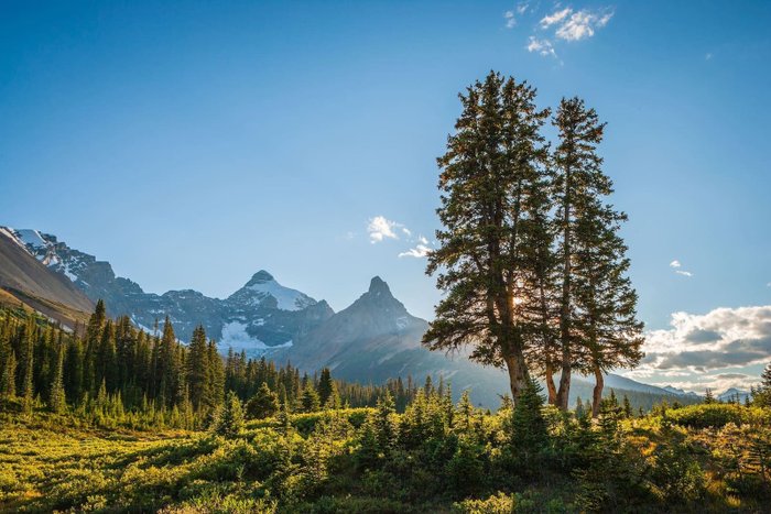 Kanada Reise Jasper NP