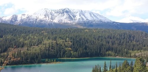 Kanada Reise Whitehorse