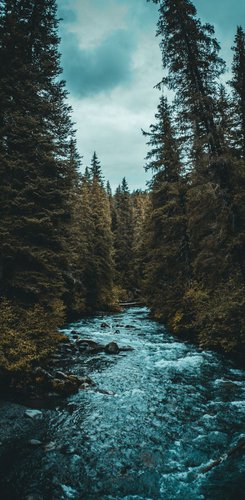 Anchorage Reise