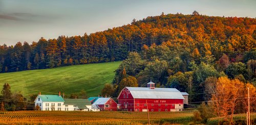 Wälder in New Hamshire, USA