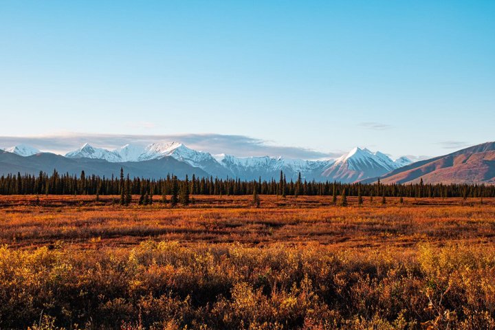 Denali Nationalpark Reise