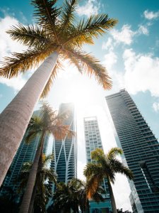 USA Reise - Miami