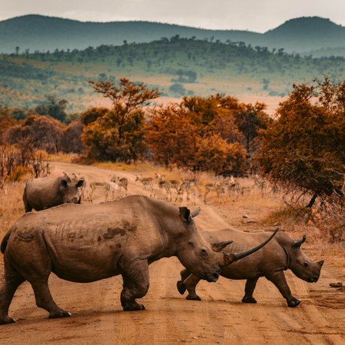 Suedafrika Reise