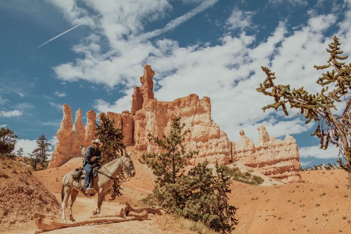 USA Reise - Bryce Canyon