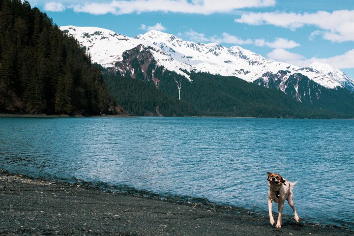 Seward Reise