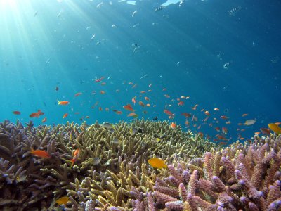 USA Reise - Key West 