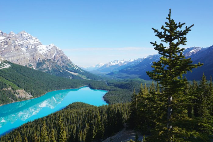 Kanada Reise - Peyto Lake