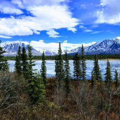 Talkeetna Reise