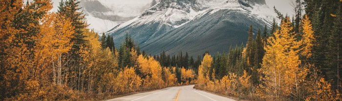 Kanada Reise Calgary