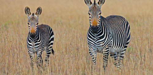 Suedafrika Reise