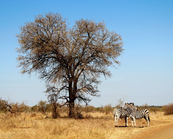 Suedafrika Reise