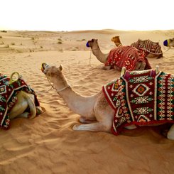 Emirate